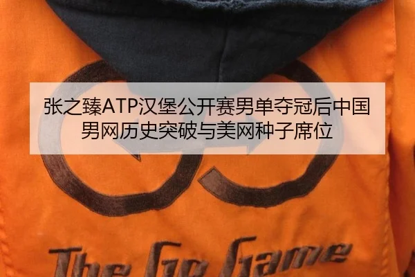 张之臻ATP汉堡公开赛男单夺冠后中国男网历史突破与美网种子席位